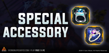 SPECIAL ACCESSORY